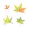 Autumn yellow and greenish leaves set watercolor illustration seasonal image