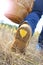 Autumn yellow leaf on the boot. Walk in nature, change of season, toned