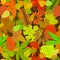 Autumn yellow leaf seamless pattern