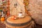 Autumn yellow leaves, pumpkins, autumn, barrel, lamp, straw, wooden door on the background