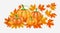 Autumn yellow, orange Pumpkins and Bright fall leaves on white background. Vector illustration for poster, card, label