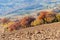 Autumn with yellow and orange trees on the Marche`s hill in the Montefeltro region