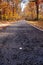 Autumn yellow trees road