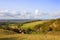 Autumn on the Yorkshire wolds