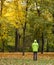 Autumn. Young man stands back looking up to tree in an auntum woodland