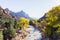 Autumn in Zion National Park