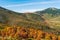 Autumnal beautiful landscape with chestnut trees, oaks and beech tree