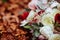 Autumnal bridal bouquet. bride holding wedding bouquet