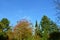 Autumnal colorful treetops in front of bright blue sky