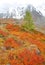 Autumnal colors in Altai Mountains