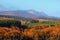 Autumnal colors in Gorbea