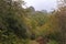 Autumnal colours in the Courel Mountains