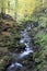 Autumnal Creek in Beskydy Mountains