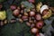 Autumnal decoration - acorns, chestnuts, buckeye, oak leaves on a wooden table.