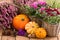 Autumnal decoration with flowers and pumpkins