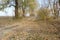 Autumnal dirt road on the agricultural field