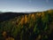 Autumnal Elegance: Aerial Panorama of a Needle Forest Bathed in Evening Light