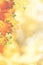 Autumnal fall. Beautiful seasonal backgrounds