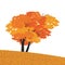 Autumnal Fall maple tree flat color vector icon