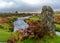 Autumnal Fern & Moorland Rock in the Foreground of the Hills of Dartmoor and the River Plym 1 of 3