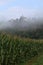 Autumnal foggy townscape of Langenburg in Germany