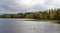 Autumnal forest and lake