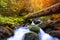 Autumnal forest with mountain creek