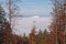 Autumnal forest in sunny weather above fog