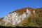 Autumnal forest and white rock.