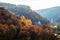 Autumnal forest and white rock,Ojcowski National Park, Ojcow, Poland