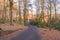 Autumnal Forrest Walk in Scotland