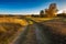 Autumnal grassland landscape