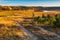 Autumnal grassland landscape