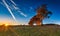 Autumnal grassland landscape