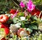 Autumnal grave decoration