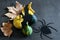 Autumnal Halloween composition with dry maple leaves, decorative pumpkins, spider and bat on the dark gloomy background