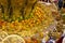 Autumnal harvest decoration colors of yellow, orange, green pumkins and vegatable in the market