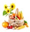 Autumnal harvest vegetables in basket