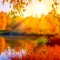 Autumnal lake birch sunlight Autumn