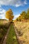 Autumnal landscape with dirt road, colorful trees and bushes