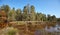 Autumnal landscape with drying lake in a forest