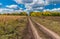 Autumnal landscape with earth road between sunflower and maize field