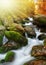 Autumnal landscape with mountain creek