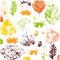 autumnal leaves colorful print