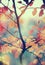 Autumnal leaves and colors. Vibrant wallpaper