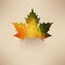 autumnal maple leaf background made of triangles. Retro background with autumn leaf. Label design. Lettering. Geometric shapes. S