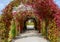 Autumnal motif in a public park with arch of colorful leaves