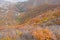 Autumnal mountain forest