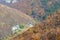 Autumnal mountain forest