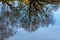 autumnal nature mirroring in a lake waver